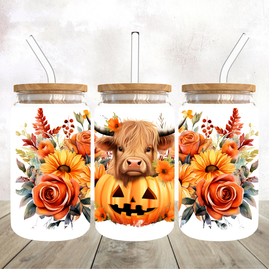 Highland cow fall Glass Can Cup